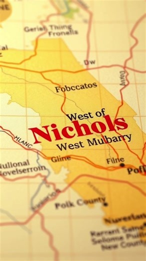 Nichols Florida Florida history Florida history Forgotten towns Florida Old Florida stories Florida backroads Railroad history Florida Small town Florida Historic Florida Florida ghost towns Real Florida Florida preservation #FloridaBackroads #OldFlorida #FloridaLegends #Realflorida #NicholsFlorida
