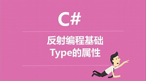 C#反射编程基础Type的属性