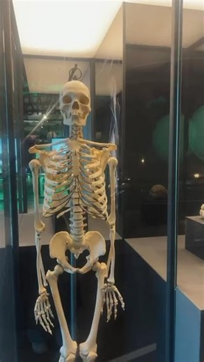 Nemo Science Museum Amsterdam highlights