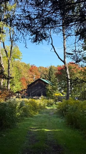 50 reactions | The view walking down our campground trail today. The leaves seem to be changing colors earlier than normal this year.  | Panama Rocks Scenic Park | Facebook