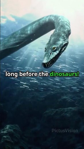 Weird Prehistoric Sea Creatures Before Dinosaurs