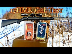 .17 HMR Ballistic Gel Test
