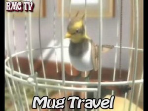 RG Animation Studios