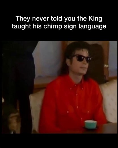 The Histologian on Instagram: "They never told you the King taught his chimp sign language. It's a secret talent of the pop icon that few know about. Michael Jackson used sign language to communicate with Bubbles, his well-known pet chimpanzee. Bubbles lived with Jackson for years and regularly appeared by his side in public. What do you think of this story? Drop your thoughts below. Follow @thehistologian for more 👀 #thehistologian"