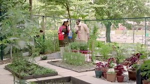 847K views · 3.4K reactions | More affordable premiums with Pioneer Generation Subsidies. Visit www.medishieldlife.sg now. | gov.sg | Facebook