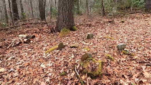 Alone in the woods - The haunting mystery of two children’s graves