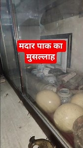 Zinda Shah Madar ki purani cheeze #dargahmakanpur #madarepakkihistory #dargahsharif #dargahshort