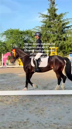horsesecret (@horse_secret)’s videos with Originalton - BUNT.