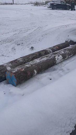 Yield analysis day 1 in progress! Every day is a new opportunity to learn and grow! #greenridgeforestproducts #NHLA | Green Ridge Forest Products