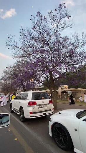 اي والله اغلى من رحب 🇸🇦🇴🇲🇶🇦###ابها_عسير_الجنوب_السوده🇸🇦#تصويري📸 #اكسبلووووورررررررررررررررر