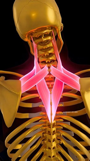Tight Neck? Here’s what to do!💥