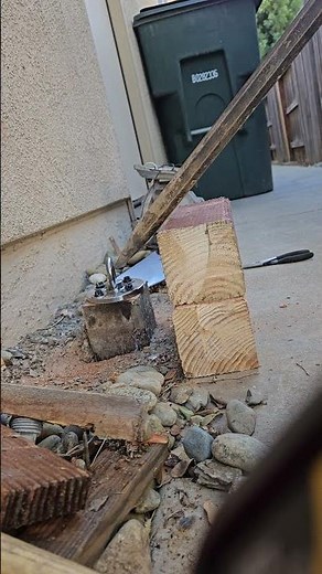 Removing rotten fence post whole.