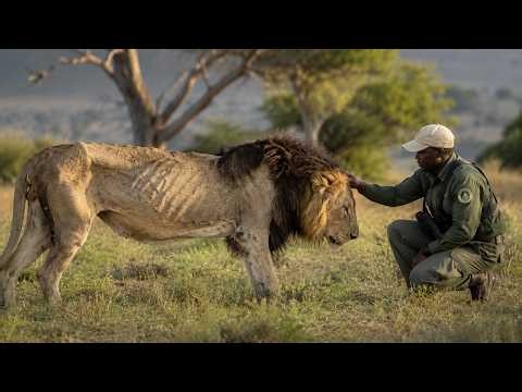 Animals That Asked People for Help & Kindness!