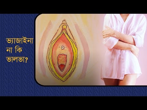 ভ্যাজাইনা বা যোনি সম্পর্কে আপনার যা জানা উচিত | Explainer | Vulva