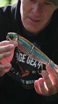 The Legendary 4Play Classic is Back! #savagegear #4Play #pikefishing