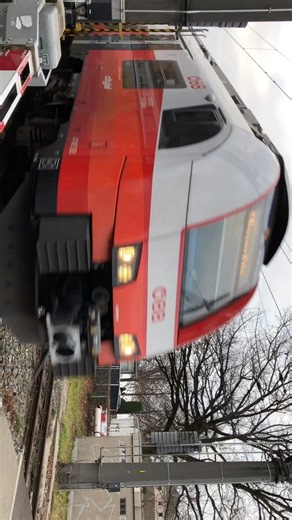 Der Zug CityJet nach Lindau in Bregenz, Österreich 🇦🇹 Austria #öbb #sbahn #siemens #train #bahn