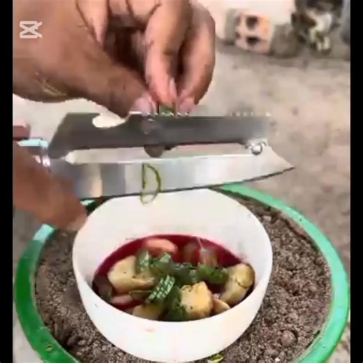 Planting Mango Branch in apple fruit great results #mango #mangotree #mangoes #mangoandpassionfruit @highlight Agriculture and young Cropp | Violita Padayon