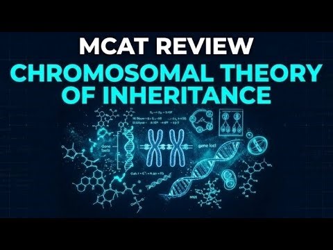 Chromosomal Theory of Inheritance Explained | MCAT Genetics