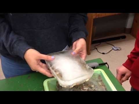 Glacial Striations Explained!