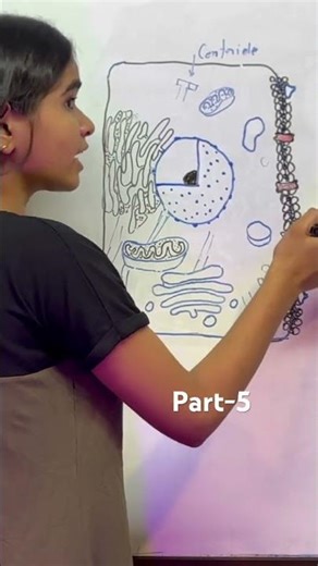 Cell Structure Part - 5