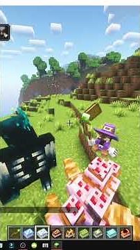 HOW TO USE Spellbooks and WIZARD SUIT in MINECRAFT COMPANIONS