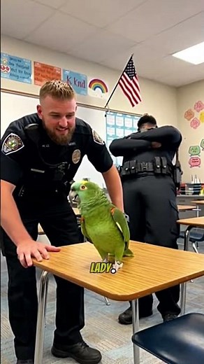 🦜 Parrot Gets INTERROGATED at School?! 😂 “She got the SNACKS AND the LOOKS!” | BeakTok