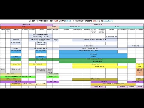 Les antibiotiques Ep 3 - Spectre d'activité des antibiotiques - Docteur Synapse