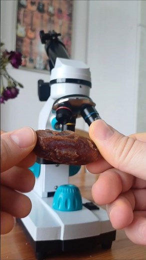 What Does a Date Fruit Look Like Under a Microscope? #microscope #تمر