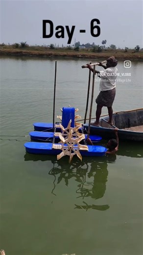 Day 6 – Aeration & Maintenance Update 🦐🌊