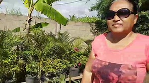 395K views · 10K reactions | Music Video ft Mama Els & Julykay Vocals & lyrics: Kayleigh Instrumental: Mie Rowsu Scripted, directed & edited by Kayleigh https://youtu.be/_1qZy7Ar60c | Kayleigh Tseng Ching Lien | Facebook