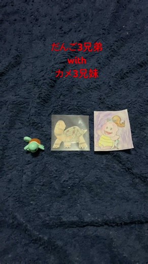 だんご3兄弟ならぬカメ3兄妹【だんご3兄弟】#たいちゃん #秋元杏月 #あづきお姉さん #カメ #ポケモン #サトシ #ゼニガメ #コータス