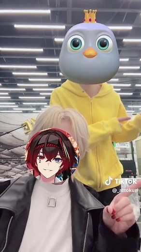 るぅちゃんと アモーレミオ踊ったよん #すとふぇす #すとふぇす2026 #るぅとくん #あっとくん