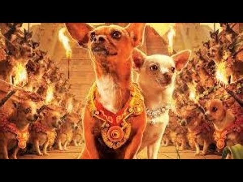 Beverly Hills Chihuahua Full Movie Interpretation and Information | Drew Barrymore | George Lopez