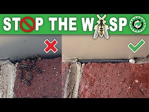 STOP THE WASPS! Prevent Wasp Nests by Adding Weep Hole Covers!