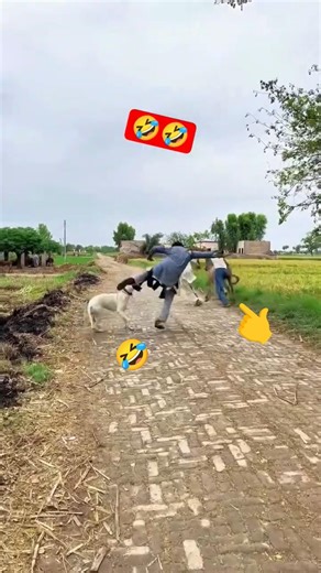 Hasi rok ke dekhao🤣!!#viralshorts #comedy