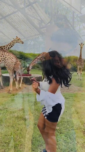 Book now! #VisitEthiopia #visitkenya | Maleda Tour & Travel | Facebook