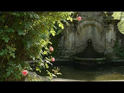 Classical Night Music - 1 Hour Dreamy Instrumental ✨