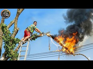 Idiots With Chainsaws: Tree Cutting Fails | Extreme Dangerous Logging Truck Fails #4