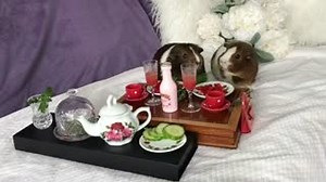 3.2K views · 149 reactions | Date night goals  || @thelavaempire ||...