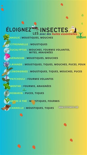 436K views · 1.7K reactions | Les huiles essentielles sont souvent...