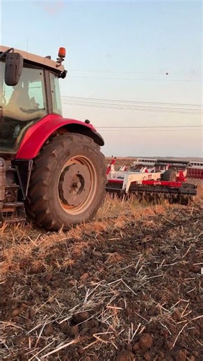 MASSEY FERGUSON 7726 & EFE