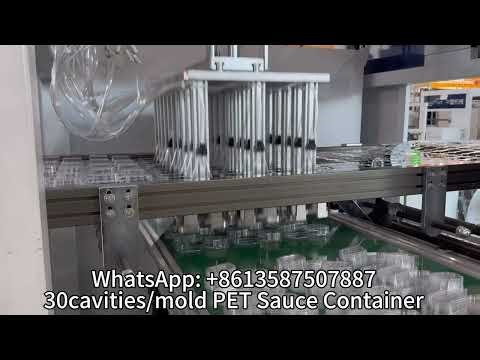 PET Hinged Container Thermoforming Machine from Ruian City China