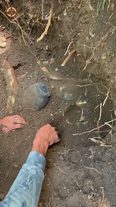 62K views · 667 reactions | Amazing find #metaldetecting | Last discovery | Facebook