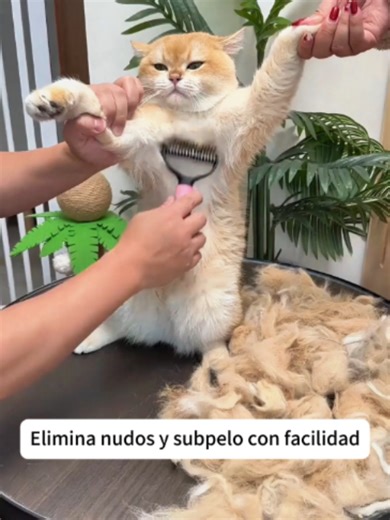 Cepillo para Perros ELE-GATE: peine de dientes dobles antienredos