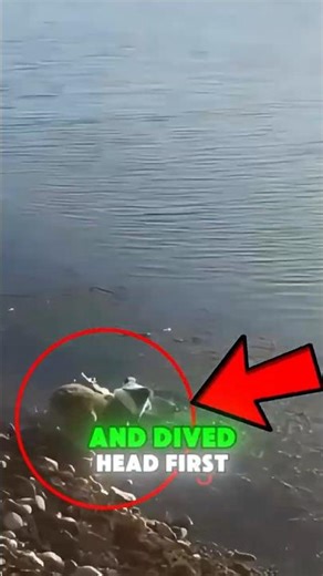 He Threw a Tiny Rock Into the Water… His Dog Brought Back THIS 😂🐾