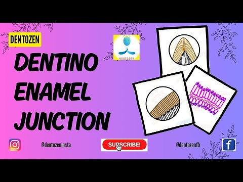 Dentino-Enamel Junction | DEJ | Hypocalcified Structure of Enamel