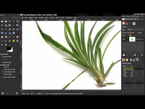 Sample points - GIMP Beginners' Guide ep104