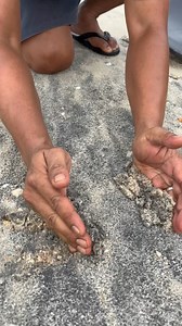 175K views · 579 reactions | millions of gold dust and black sand #millions #blacksand #gold #goldpanning #river | Nepri Andries | Facebook