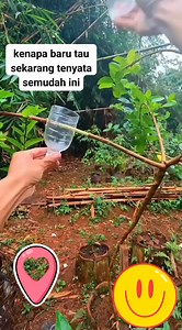 Mencangkok jadi mudah | Vandit Endief