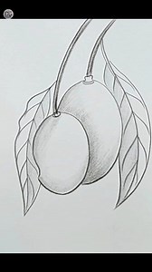 30K views · 486 reactions | Easy pencil sketch | Mango #drawing #drawingtutorial #pencilsketch | Drawing Book | Facebook